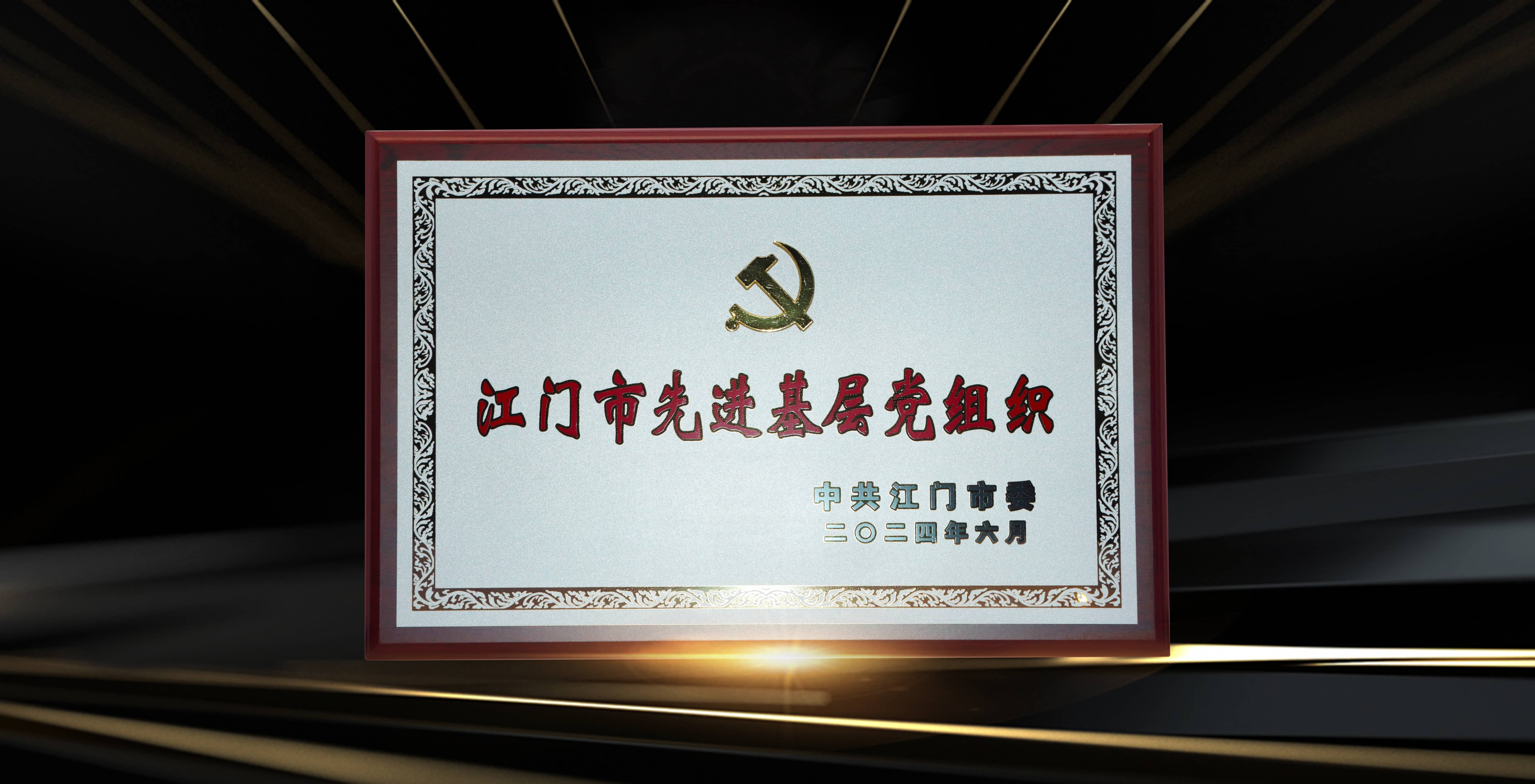 江門市先進基層組織.jpg